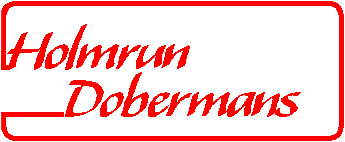 Holmrun Dobermans logo